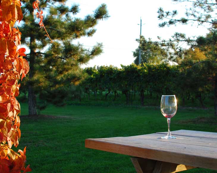 Bike Tour of Niagara-on-the-Lake Wineries and Wine Tastings