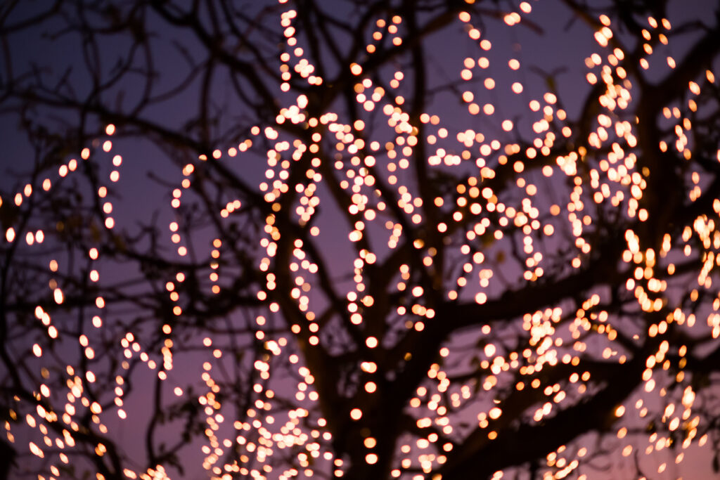 Festival of Lights at Niagara Falls this winter