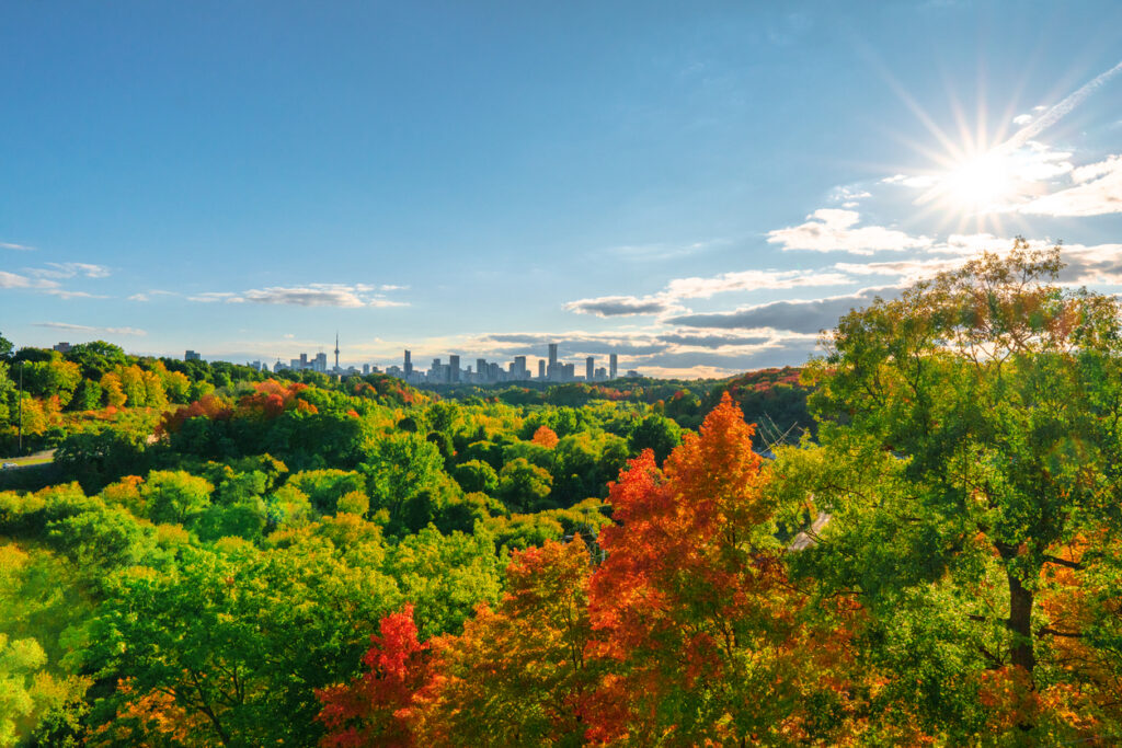 Does Toronto have all 4 seasons?