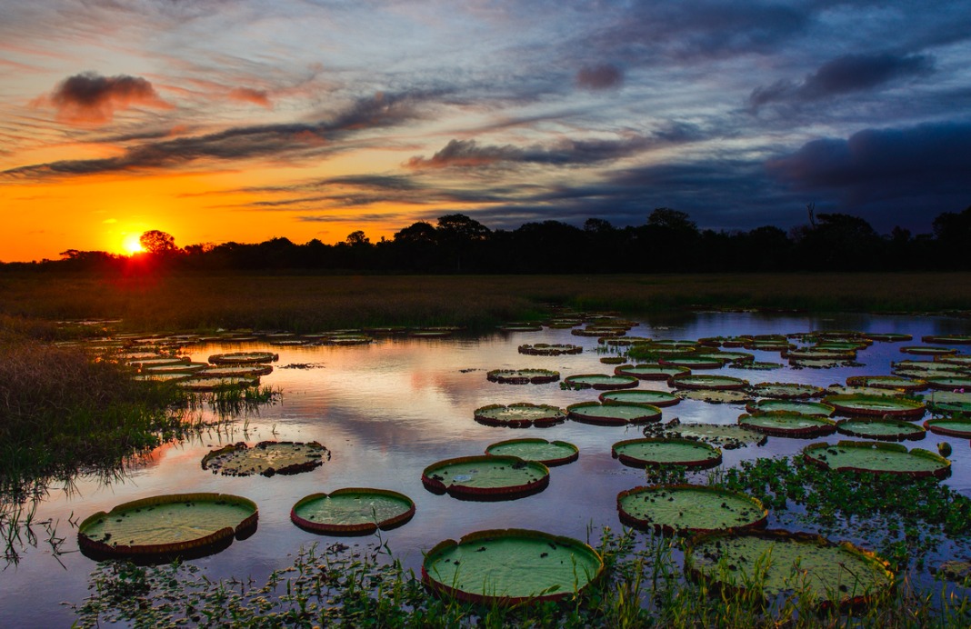 Exploring Brazil: Top 20 Must-Visit Destinations