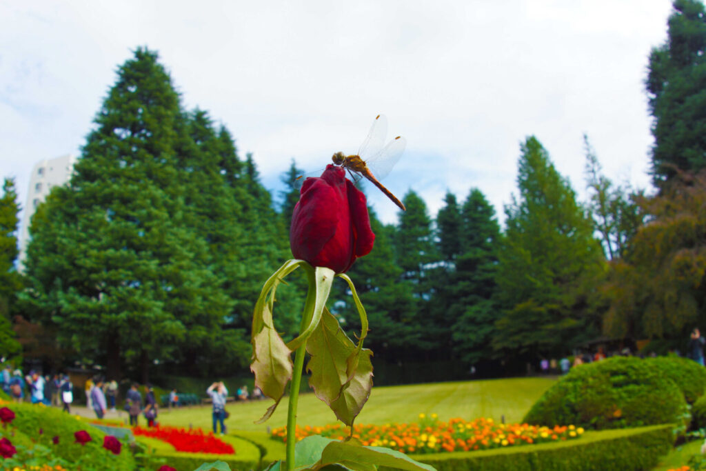 Botanical Gardens